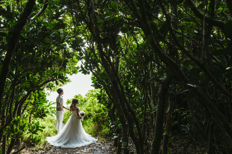 場所によっては木々のシルエットがまた新たな雰囲気