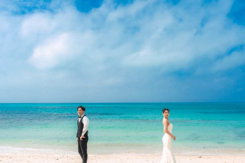 そっと佇む姿　クールな一枚もまた印象的に