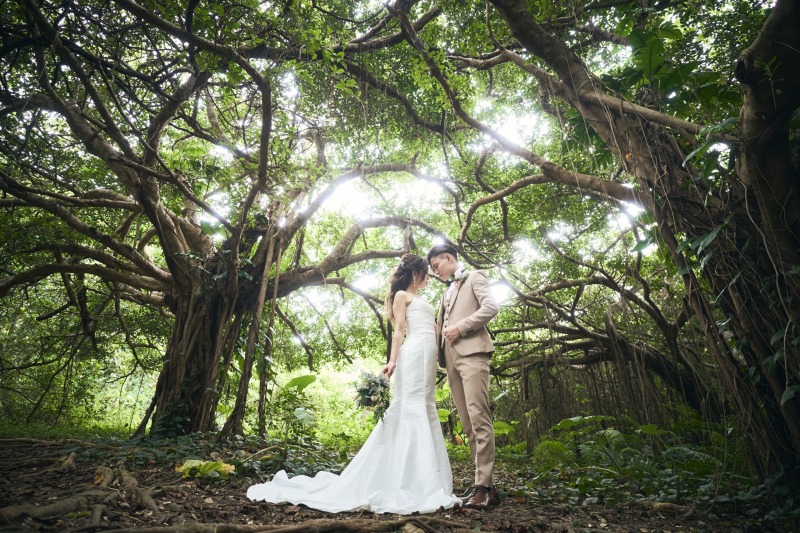 木漏れ日がキレイ