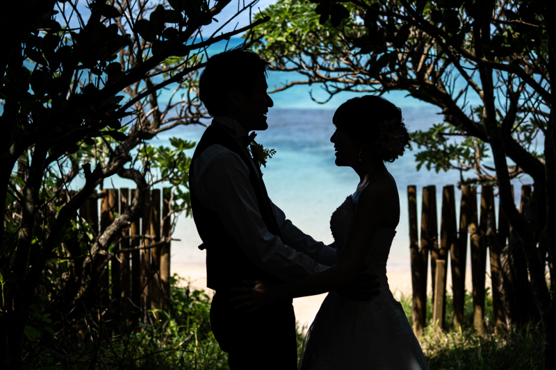 プロカメラマン撮影