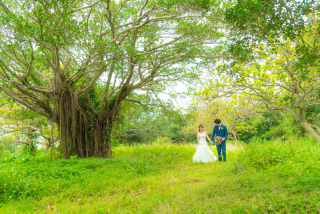 宮古島の緑豊かな大自然♪