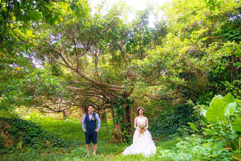 ガジュマルの木の下で♪