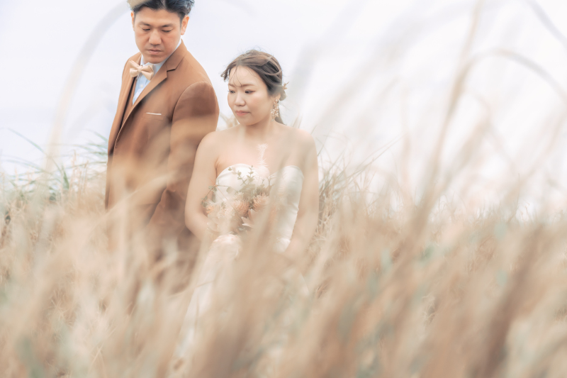 そして場所は変わり 草原の中へと入っていく