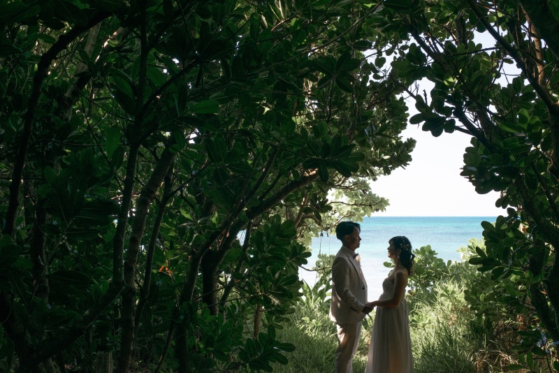 緑をぬけた先に見えるのは・・・