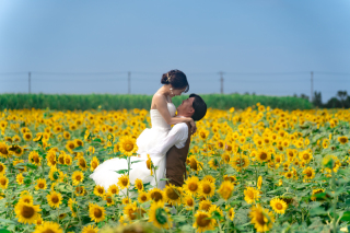 南の島での約束