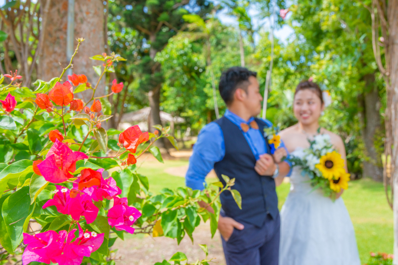 ブーゲンビレアと♬.*ﾟ