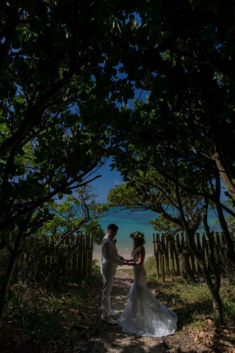 ビーチ近くの木陰で