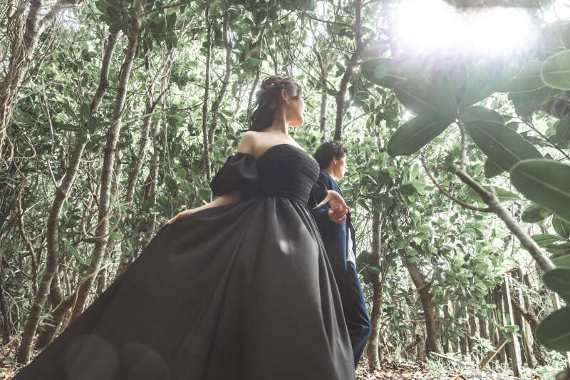 空から差す溢れ日が木々の間より美しい演出へ