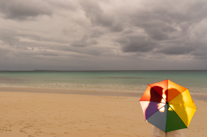 幻想的な結びの１枚