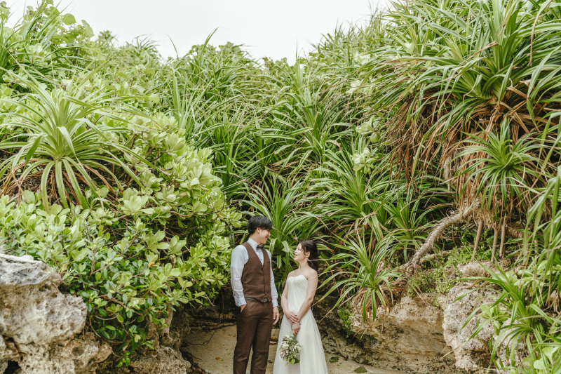 ふと振り返ると南国感たっぷりのグリーンたち