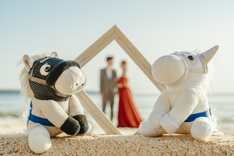 おふたりのお持ち込みアイテムを使いながら