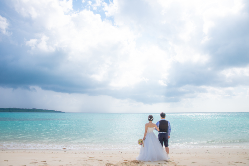 自然のスポットライト