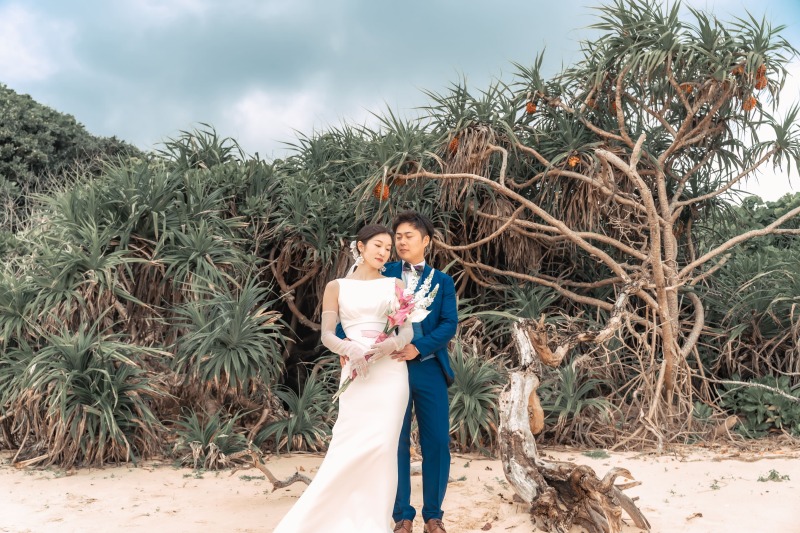 宮古島の海には自然が多く存在している