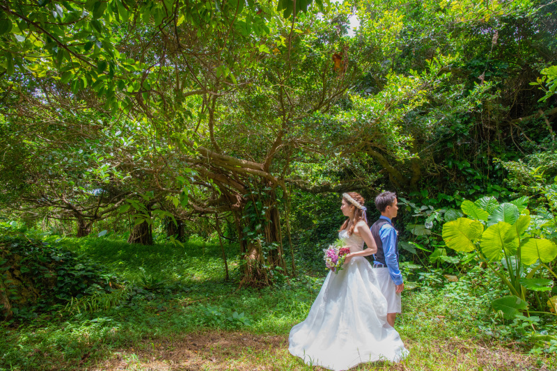 精霊の宿る樹！ガジュマル♪