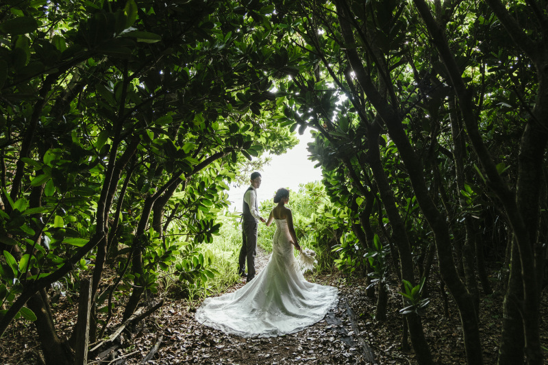 森の中ではまた新たな雰囲気漂うショットへと