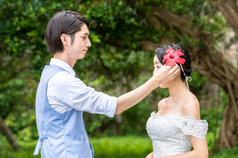 ハイビスカスを使って