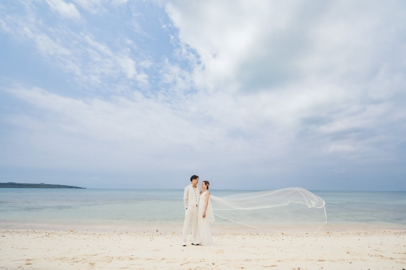 ふんわりとベールが風にのって舞い上がる