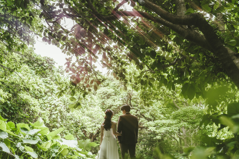 そして場所は変わり 神秘的な森の中へ入り込む