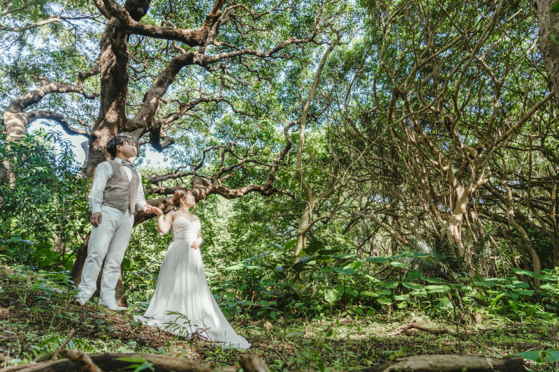 お二人を包みこむ青々とした空間⭐︎