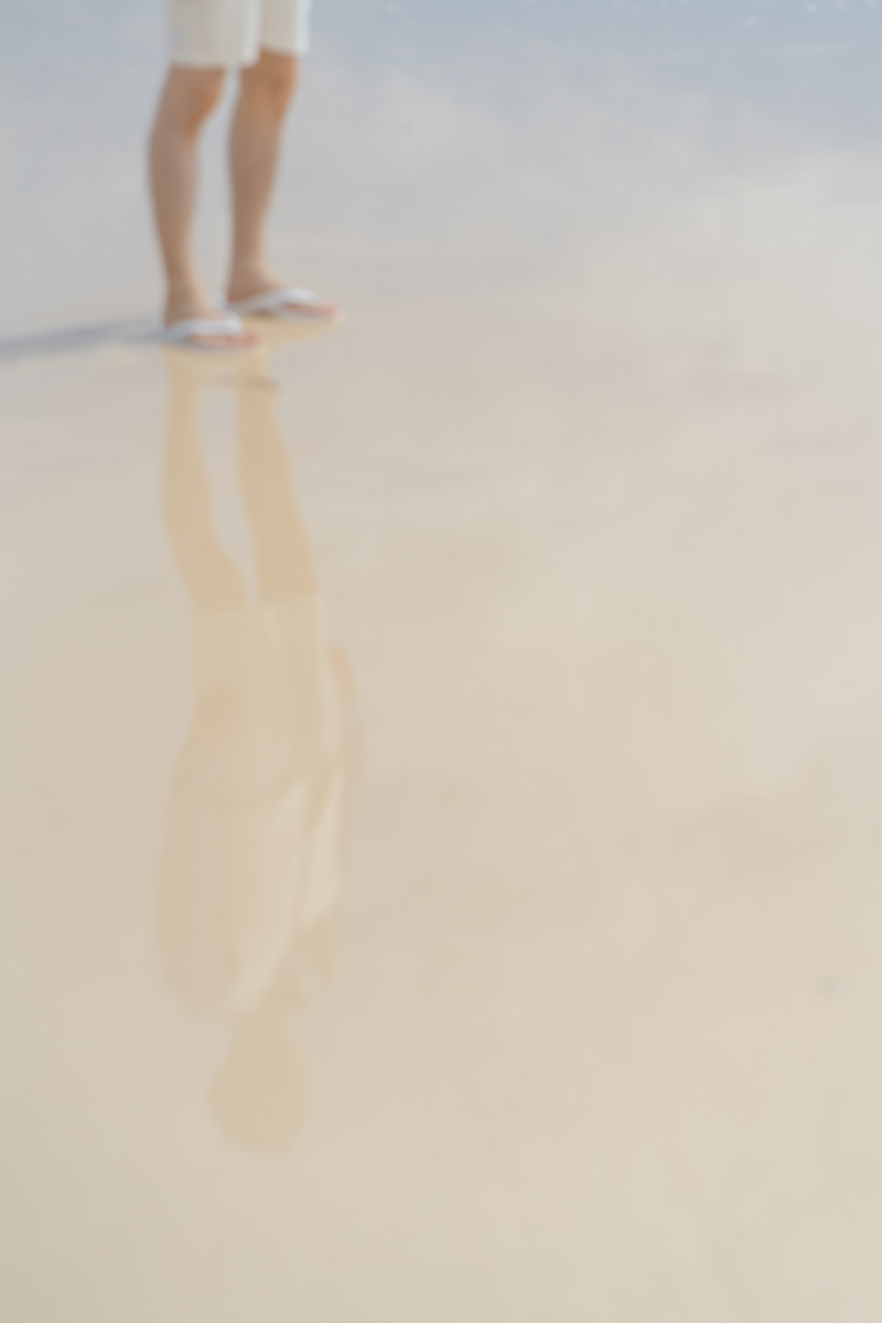 砂浜に自然と映る姿