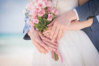 美しい光景の数々を