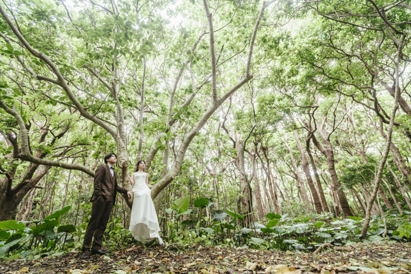 太陽の光をたくさん浴びて雄大に育った自然たち