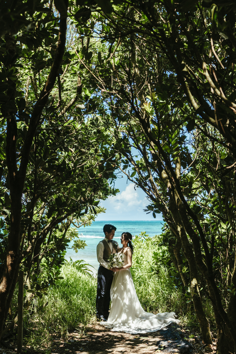 宮古ブルー×グリーンのコントラスト