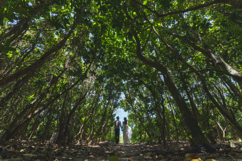 緑を進んだ先に待っている宮古ブルーの海