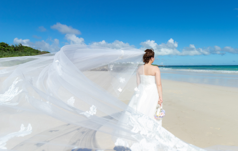 後ろ姿も美しい