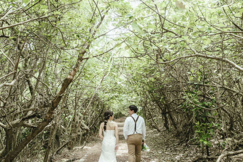 そしてこの景色を忘れることなく 明るい未来へと