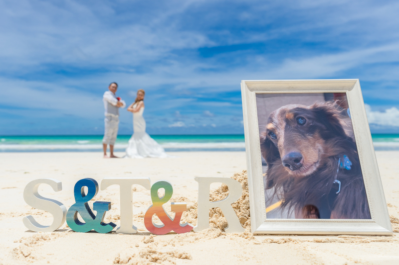 ワンちゃんも一緒に