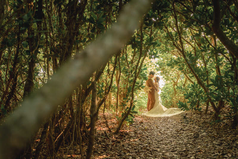 だんだんと少しずつ森の向こう側に歩み進めていく