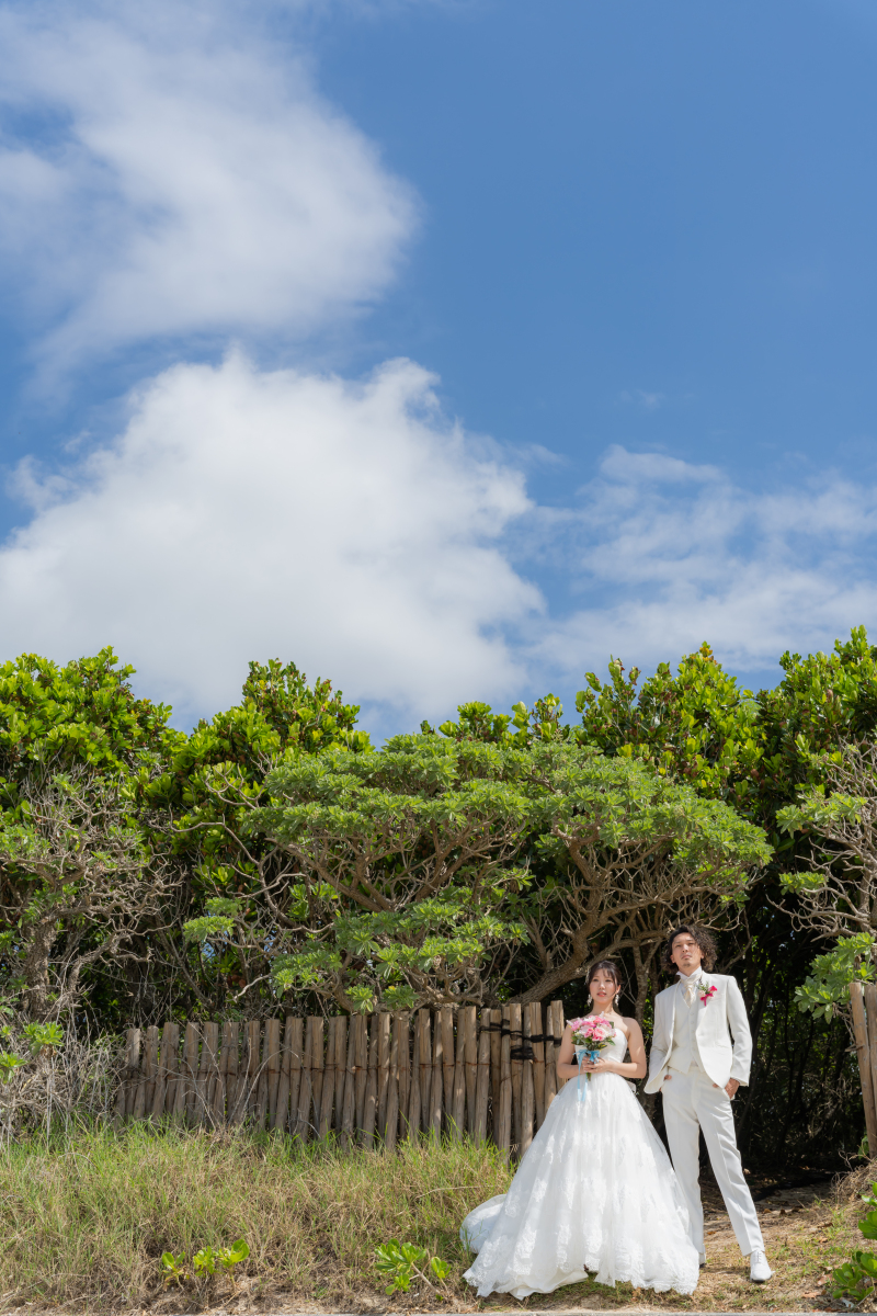 クールな印象で