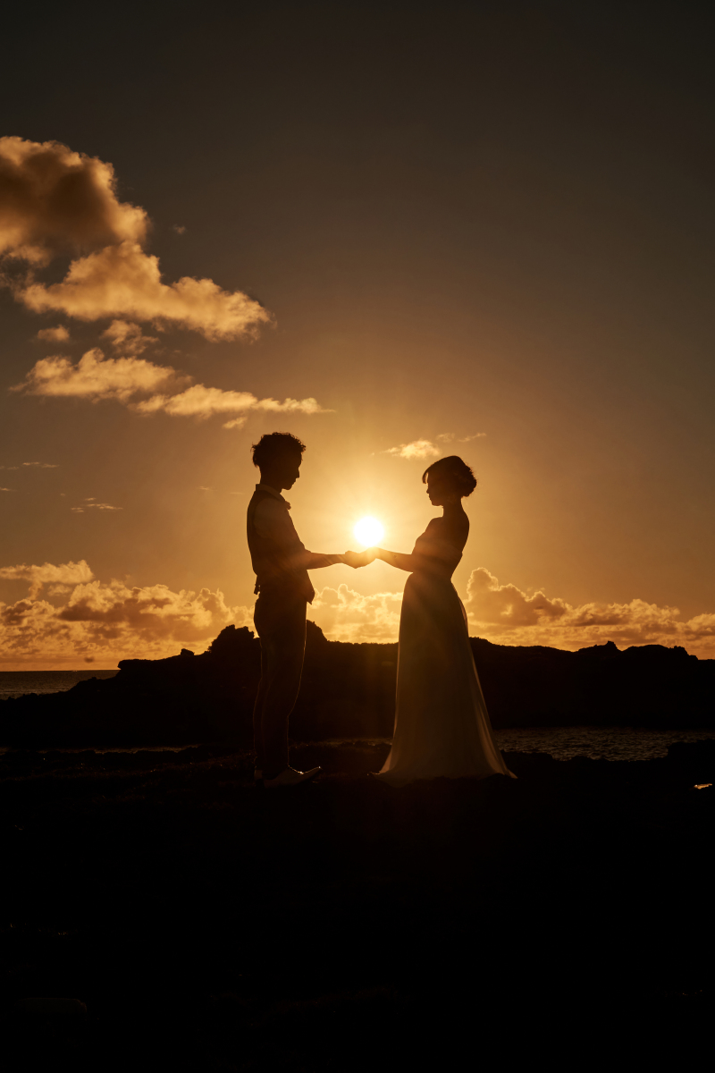 手のひらに太陽を