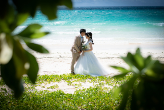 真夏のウェディングデイ