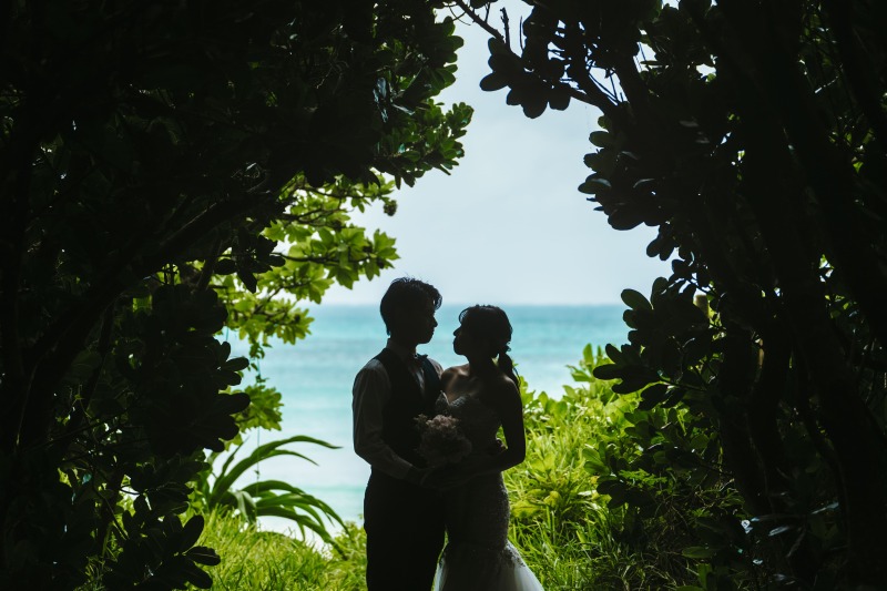 森と海のコントラスでのシルエットショット