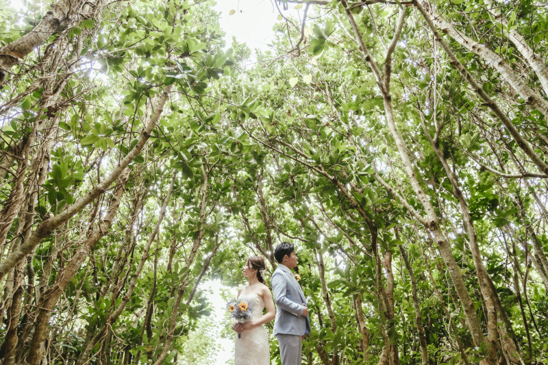 南の島ならではの　美しい緑たちに包まれながら