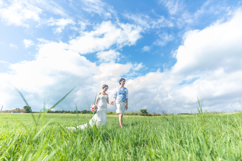 風がなびく草原で