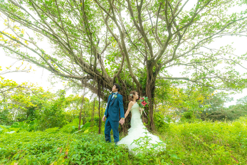 宮古島は海だけじゃない!