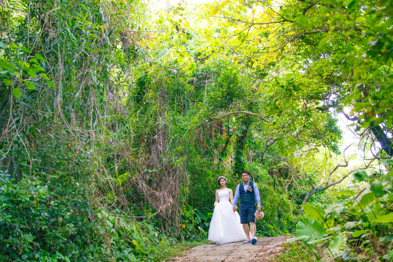 木漏れ日が差し込む道