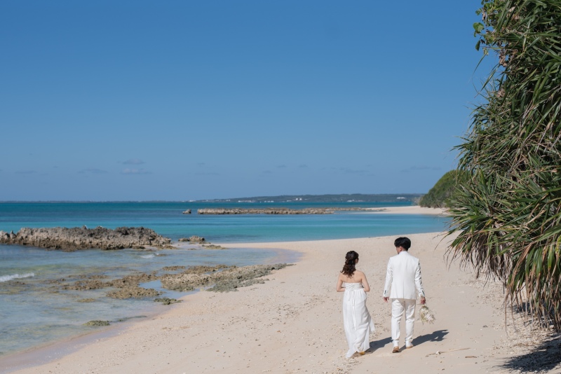 移動中も撮影しながら逃さずに