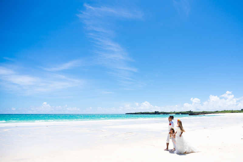 白さと青さのコントラスト