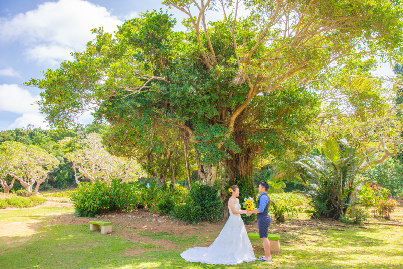 絵画の様な優しいグリーンと一緒に♪