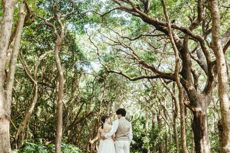 木々の天然アーチがお出迎え♪