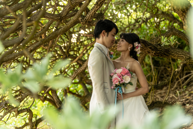 木々の中でのショット