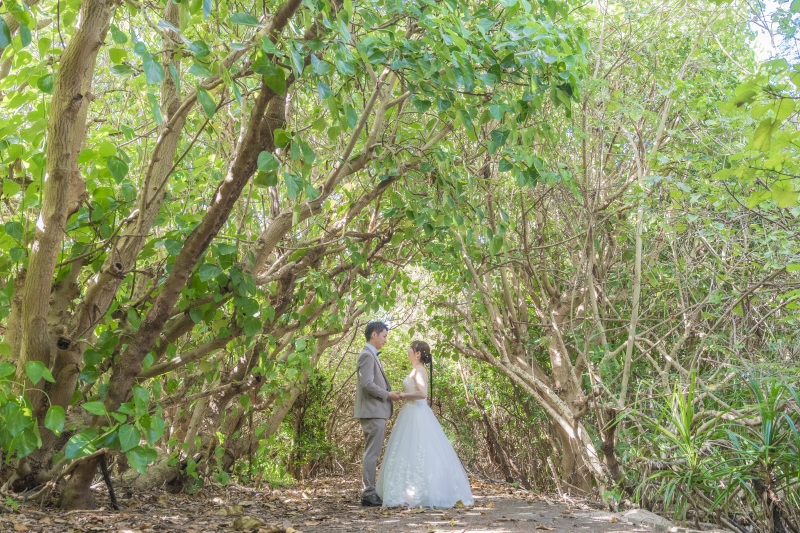 ビーチへと続くステキな森の小道を通りながら