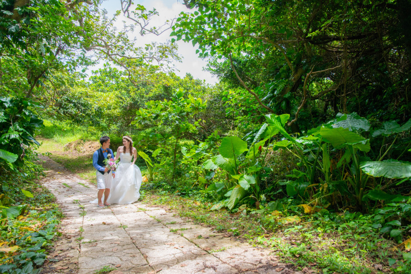 遊歩道のある大自然での撮影♪歩きやすいです^_^