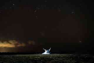 デイからナイトまで