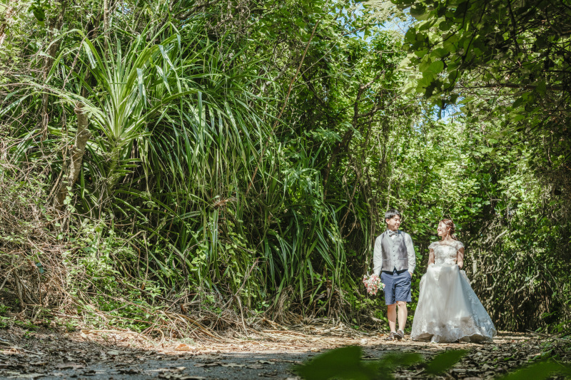 たくさんの太陽の光や潤った水を得た自然たち