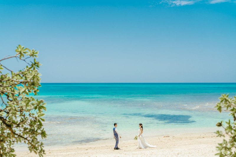 一度見たら またぜひここに来たいと思わせてくれる